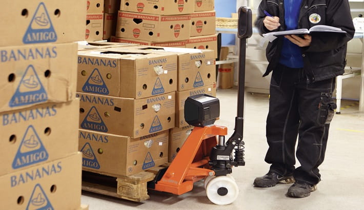 خرید جک پالت پنج تن | راهنمای انتخاب سایز و ظرفیت مناسب